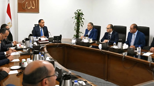 الشاهد يستعرض امام رئيس الوزراء مؤشرات انخفاض الأسعار 